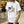 Charger l'image dans la galerie, TSHIRT XT500 réservoir blanc/rouge