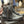 Charger l'image dans la galerie, BUFALO BOOTS ZIP