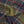 Charger l'image dans la galerie, BRADEN TARTAN SCARF
